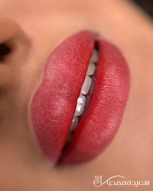 شیدینگ لب -۱۰۱