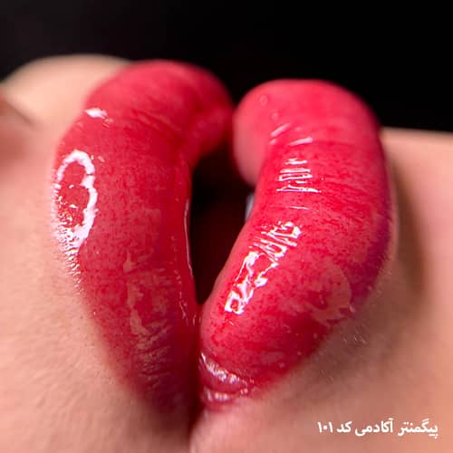 شیدینگ لب ۱۰۱