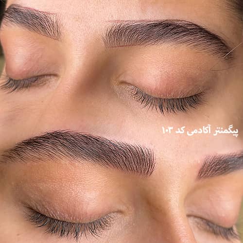 میکروبلیدینگ ابرو ۱۰۳