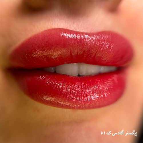 شیدینگ لب ۱۰۱